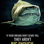 Dream Big like a Shark animal motivational Poster