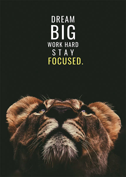 Dream Bug Work hard Stay Focused animal motivational Poster