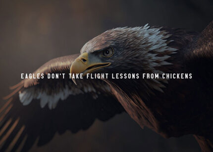 Eagles don't take flight lessons from chickens animal motivational Poster