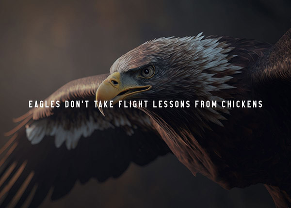 Eagles don't take flight lessons from chickens animal motivational Poster
