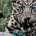 Environment animal motivational Poster