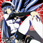 Esdeath anime Poster