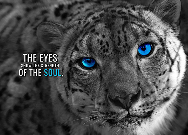 Eyes show the Strength of soul motivational Poster