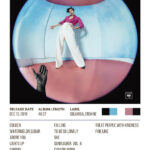 Fine Line By Harry Styles Album Poster