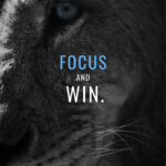 Focus and win animal motivational Poster
