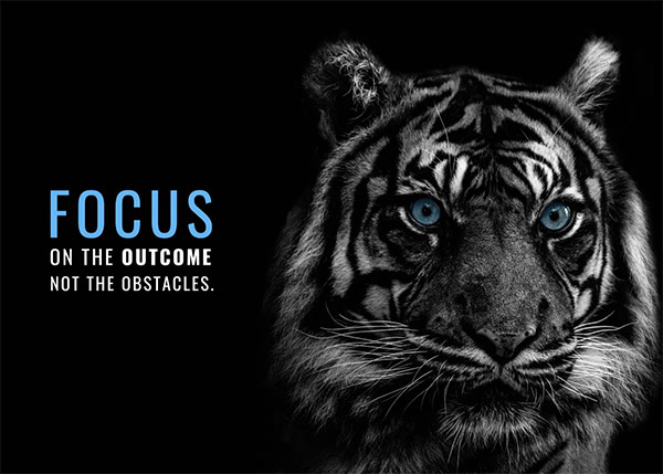 Focus on Outcome Not on obstacles animal motivational Poster
