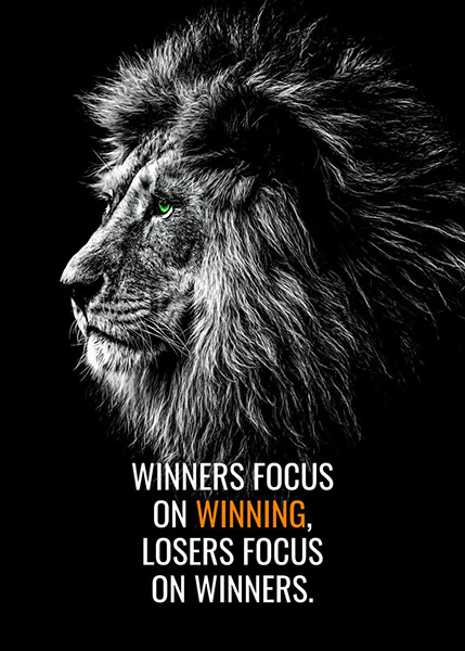 Focus on Winning animal motivational Poster