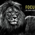 Focus on Your Goals animal motivational Poster