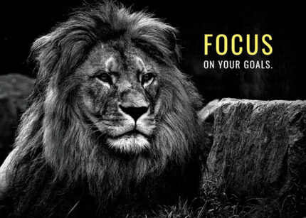 Focus on Your Goals animal motivational Poster