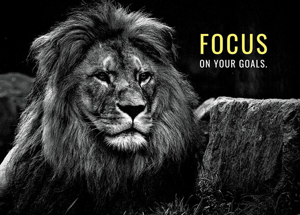 Focus on Your Goals animal motivational Poster