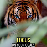 Focus on your goals ignore the noise motivational Poster
