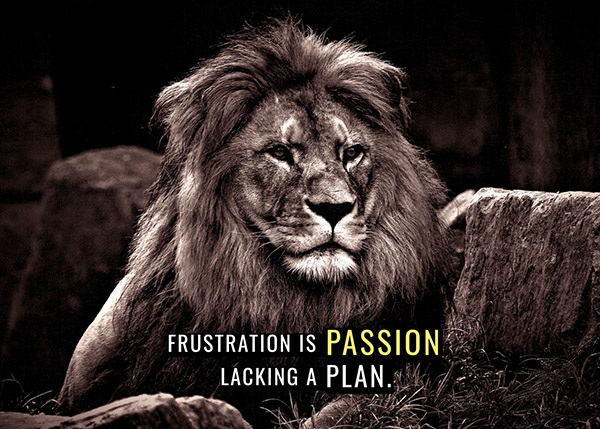 Frustration is Passion Lacking a Plan animal motivational Poster