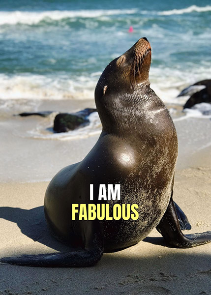 Funny Fabulous Seal animal motivational Poster