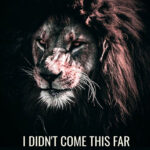 Go far and Beyond animal motivational Poster