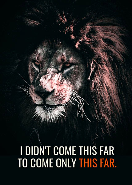 Go far and Beyond animal motivational Poster