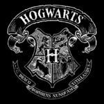 Harry Potter Wizarding School Poster