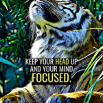 Head up Mind Focused animal motivational Poster