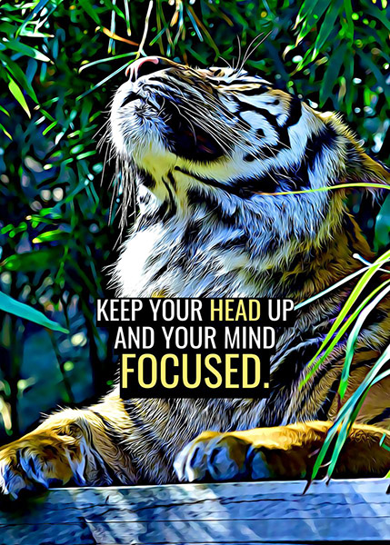 Head up Mind Focused animal motivational Poster