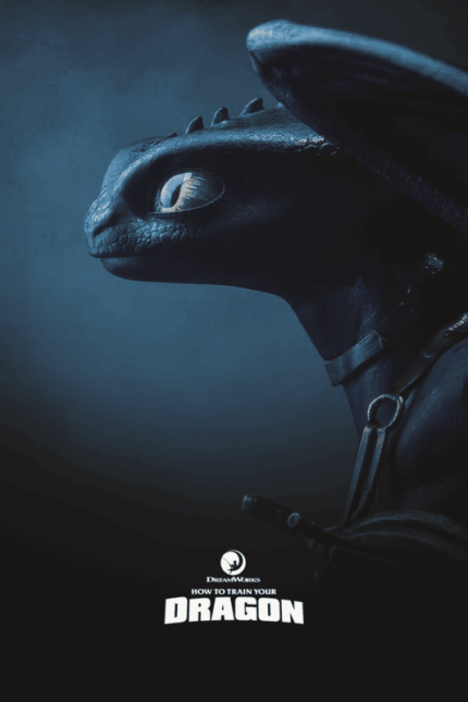 How to Train Your Dragon (2010) Poster