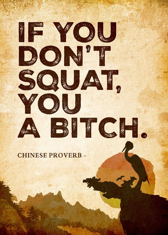 If You Dont Squat U Bitch Poster