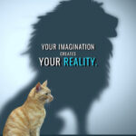 Imagination creates reality animal motivational Poster