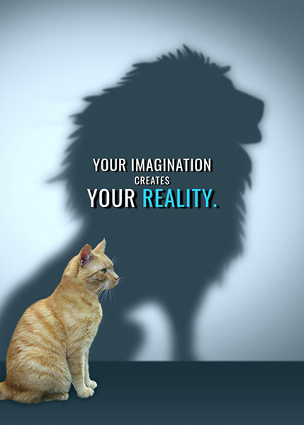 Imagination creates reality animal motivational Poster