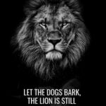 Let the dogs bark lion is still the king motivational Poster
