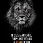 Lion is King of Jungle not Elephant animal motivational Poster