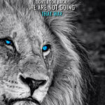 Look ahead animal motivational Poster