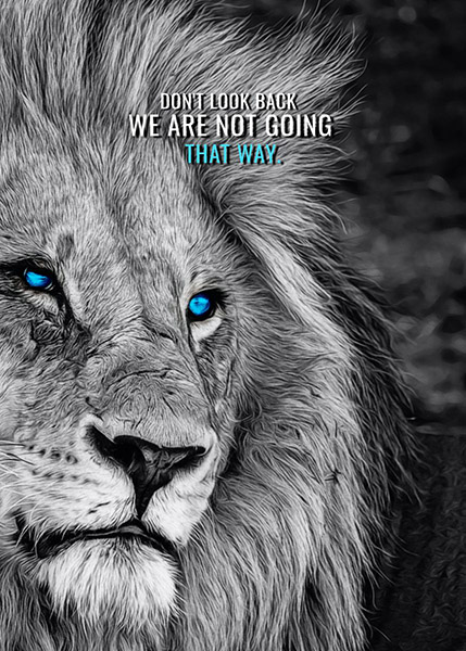 Look ahead animal motivational Poster