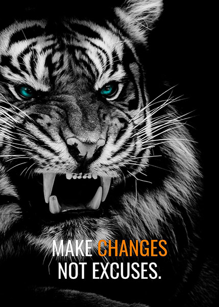 Make changes not excuses motivational Poster