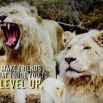 Make friends that force you to level up animal motivational Poster