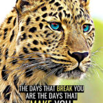 Never Break down animal motivational Poster