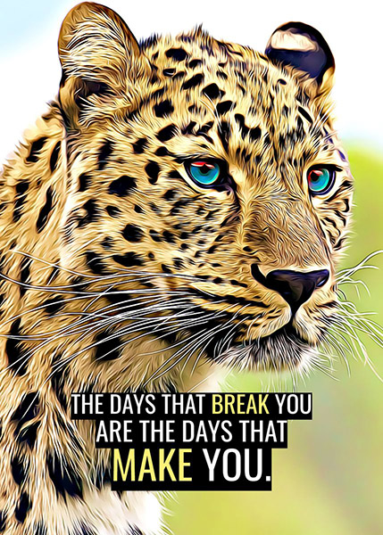 Never Break down animal motivational Poster