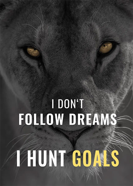 Never Dream Never Give Up motivational Poster