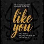 Never Explain Yourself Poster