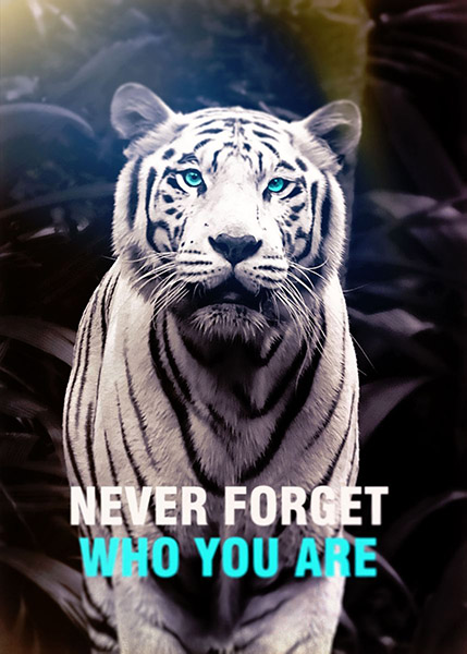 Never forget who you are animal motivational Poster
