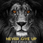 Never Give Up animal motivational Poster
