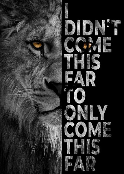 Never Give Up animal motivational Poster