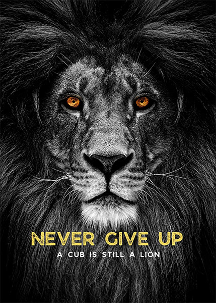 Never Give Up animal motivational Poster