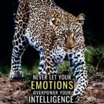 Never let your emotions overpower your intelligence animal motivational Poster