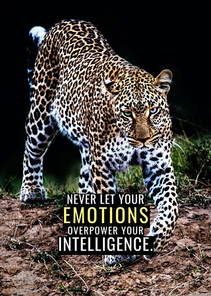 Never let your emotions overpower your intelligence animal motivational Poster