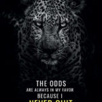 Never Quit and Odds will be your Favour animal motivational Poster
