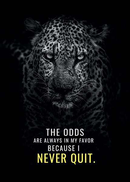 Never Quit and Odds will be your Favour animal motivational Poster