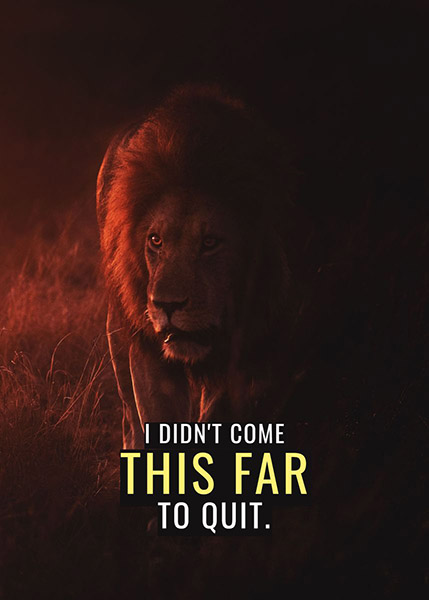 Never Quit Until you try animal motivational Poster