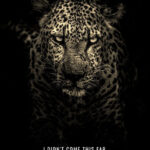 Never Settle motivational Poster