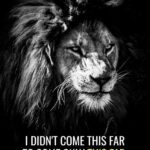 Never Stop animal motivational Poster