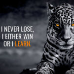 I Never Lose I either Win or I Learn Animal motivational Poster