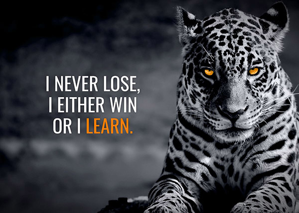 I Never Lose I either Win or I Learn Animal motivational Poster