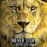 Never Stop Until you win animal motivational Poster